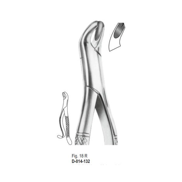 Fórceps 18R indicado para primeros y segundos molares derechos